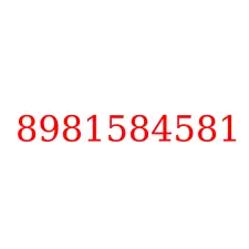 8981584581