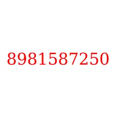 8981587250