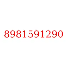 8981591290