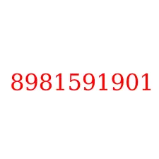 8981591901
