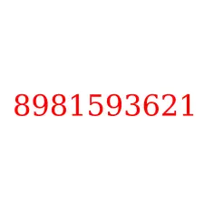 8981593621