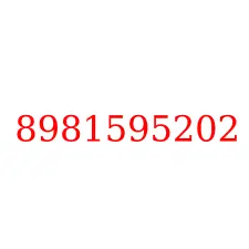8981595202