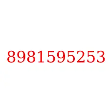 8981595253
