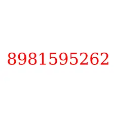 8981595262