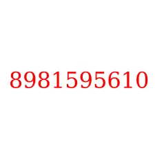 8981595610