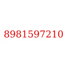 8981597210