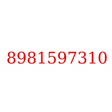8981597310