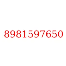 8981597650
