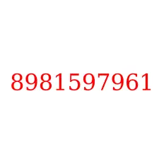 8981597961