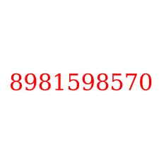 8981598570