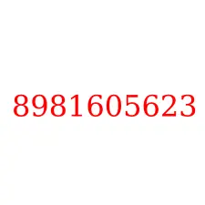 8981605623