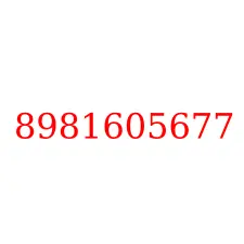 8981605677