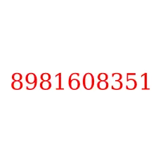 8981608351