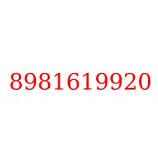 8981619920