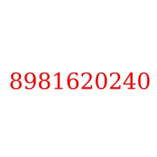 8981620240