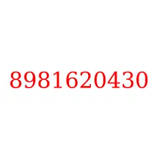 8981620430