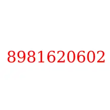 8981620602