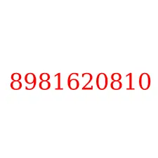 8981620810