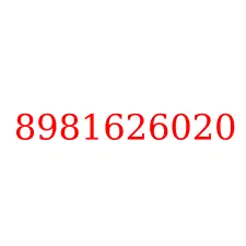 8981626020