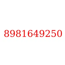 8981649250