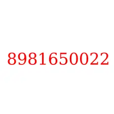 8981650022