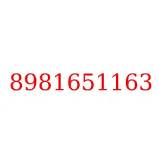 8981651163