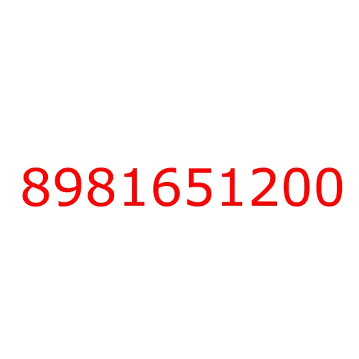 8981651200 04.895 RUBBER; SPACE, 8981651200