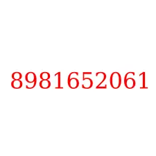 8981652061