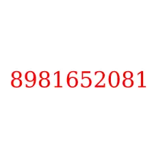 8981652081