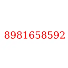 8981658592