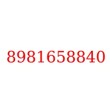 8981658840