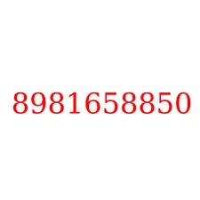 8981658850