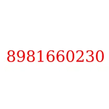 8981660230
