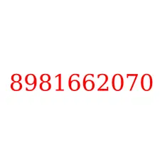 8981662070