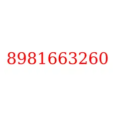 8981663260