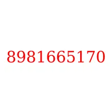 8981665170
