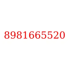 8981665520