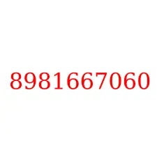 8981667060