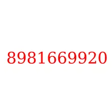 8981669920