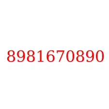 8981670890