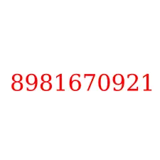 8981670921