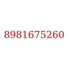 8981675260