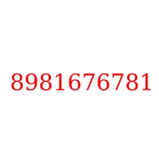 8981676781