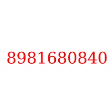 8981680840