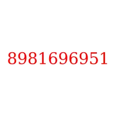 8981696951