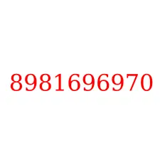 8981696970