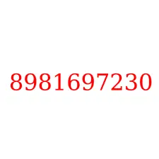 8981697230