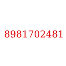 8981702481
