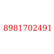 8981702491