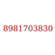 8981703830